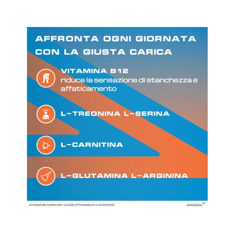 Rekord B12 Plus L-carnitina + L-arginina – 10 fiale da 10 ml