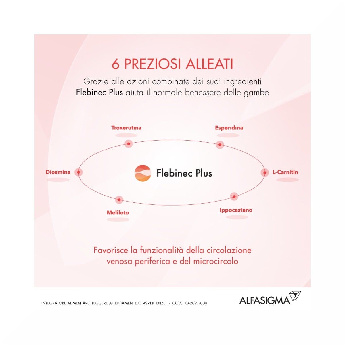 Flebinec Plus Rutina + Diosmina – 14 bustine