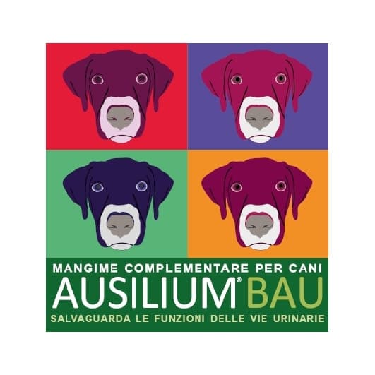Ausilium Bau – 300g con misurino