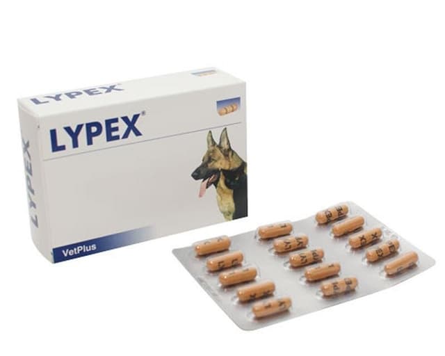 Lypex – 60 capsule