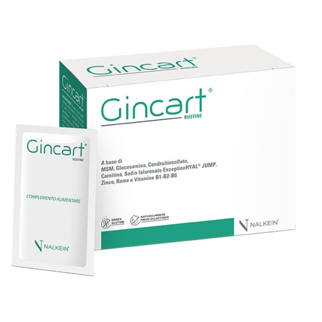 Gincart MSM + Condroitina – 18 bustine da 7 g