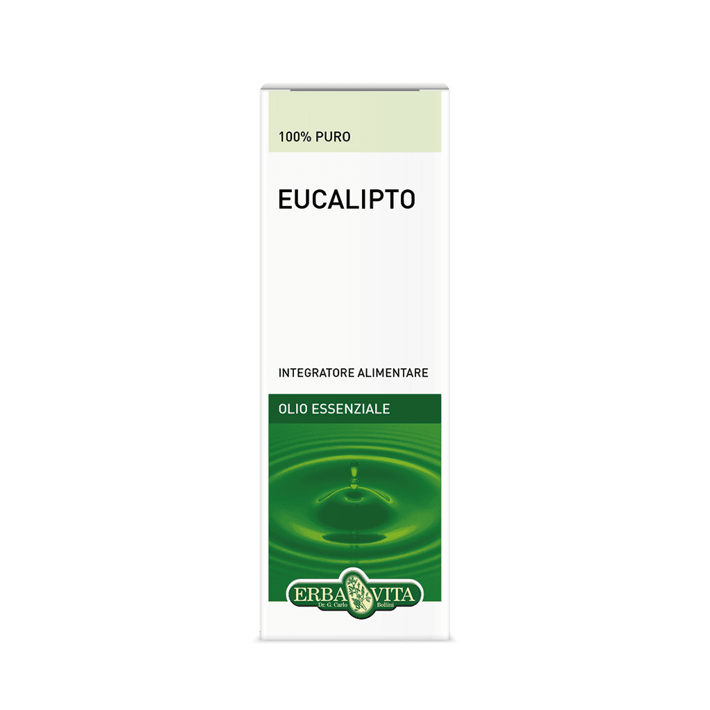 Eukalyptusöl ätherisches Öl – 10 ml