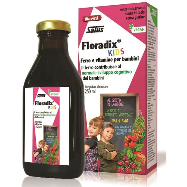 Floradix Kids Ribes nero + Complesso vitaminico B – 250 ml