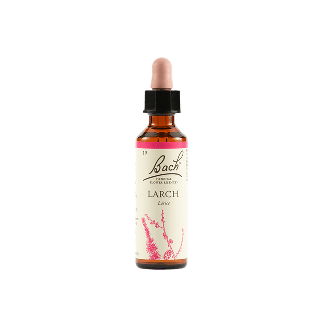 Bach Original Larch (Larice) Nr. 19 – Gocce 20 ml