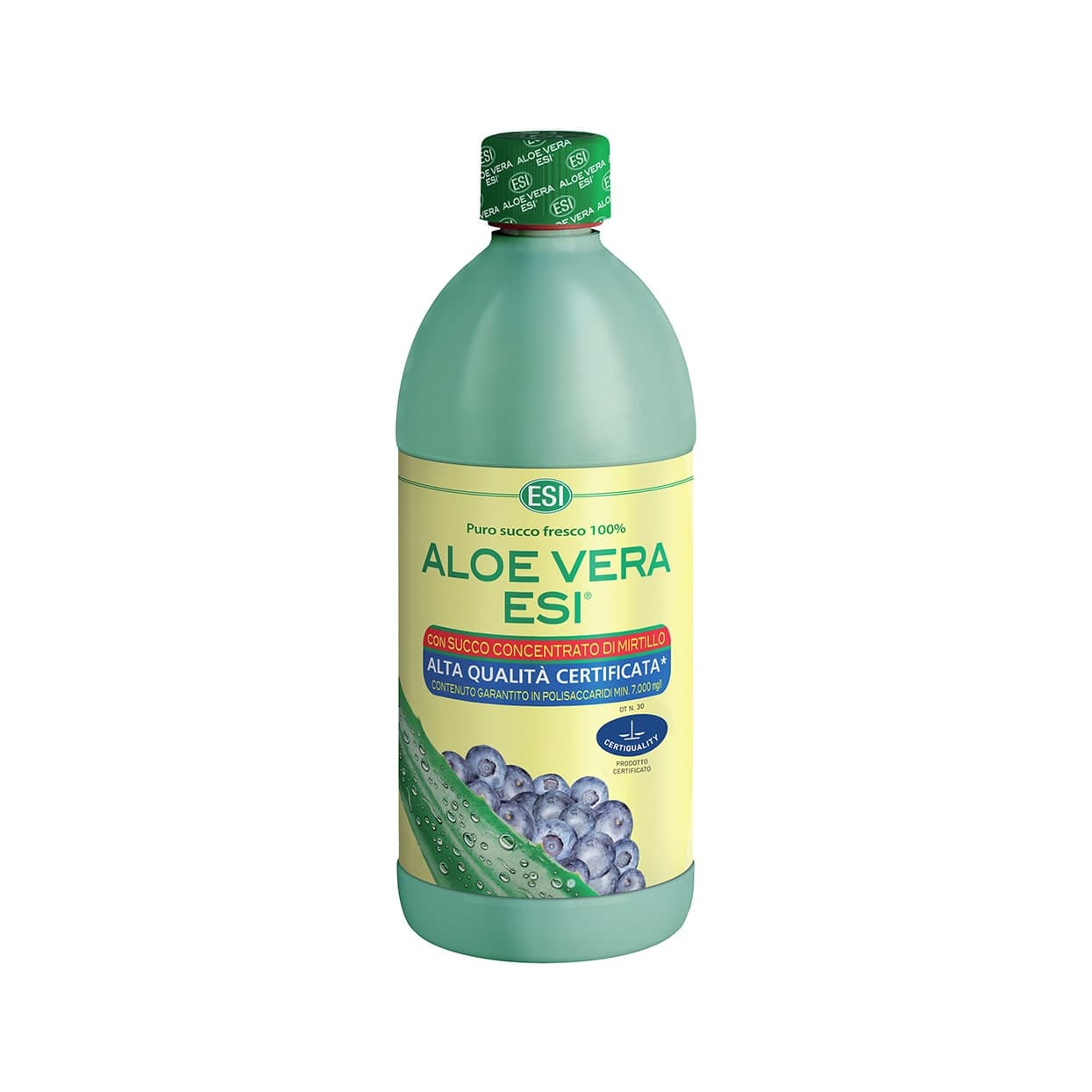 Aloe Vera Saft con Mirtillo – 1000 ml