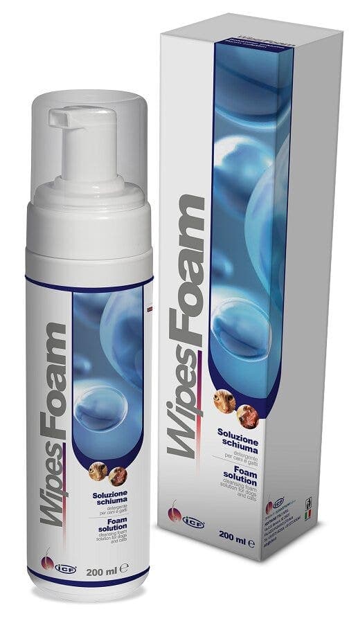 Wipes Foam – 200 ml schiuma detergente