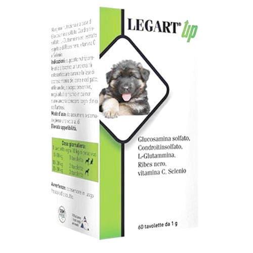 Legart Up – 120 compresse