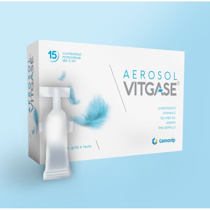 Vitgase Aerosol – 15 Fläschchen à 25 ml