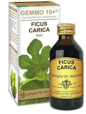 Fico Estratto di Gemme – 100 ml senza alcol