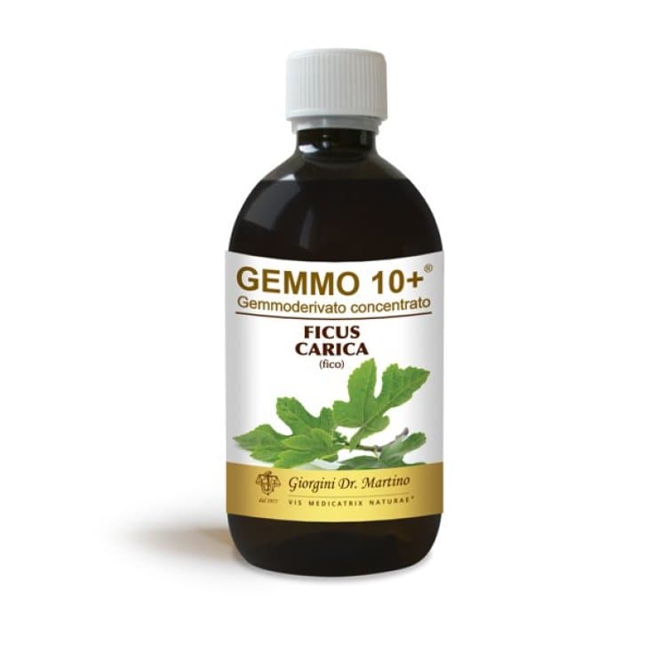 Fico Estratto di Gemme – 500 ml senza alcol