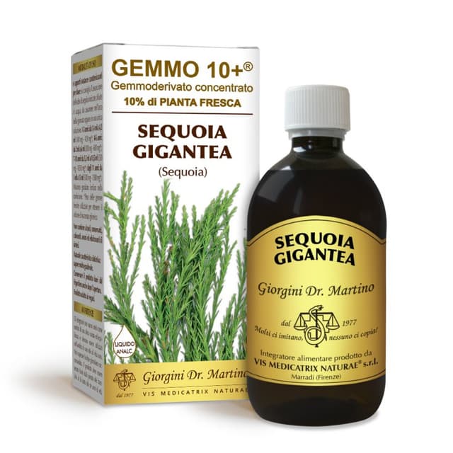Sequoia Gemmo 10+ Analcolico – Estratto Gemmale 500 ml