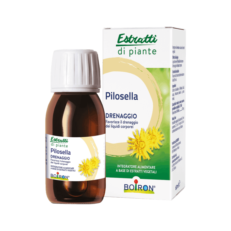 Pilosella EI Flüssigextrakt – 60 ml
