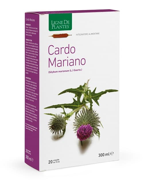 Cardo Mariano – 20 Fiale Bevibili da 15 ml