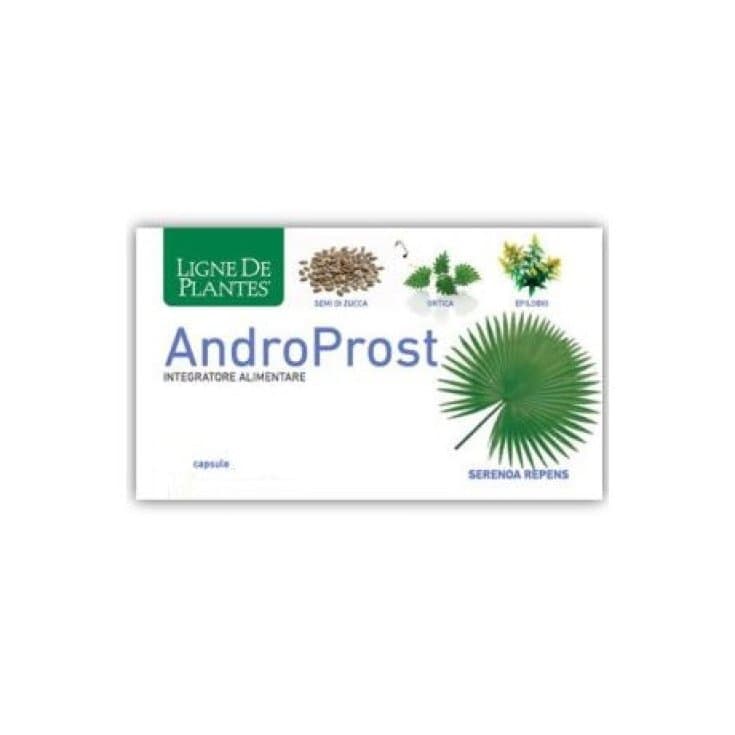 Androprost – 60 Kapseln