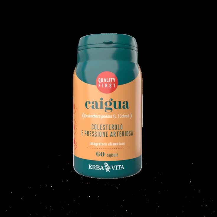 Caigua – 60 Kapseln à 400 mg von EBV