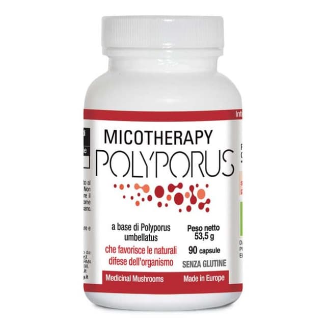 Micotherapy Polyporus – 90 capsule