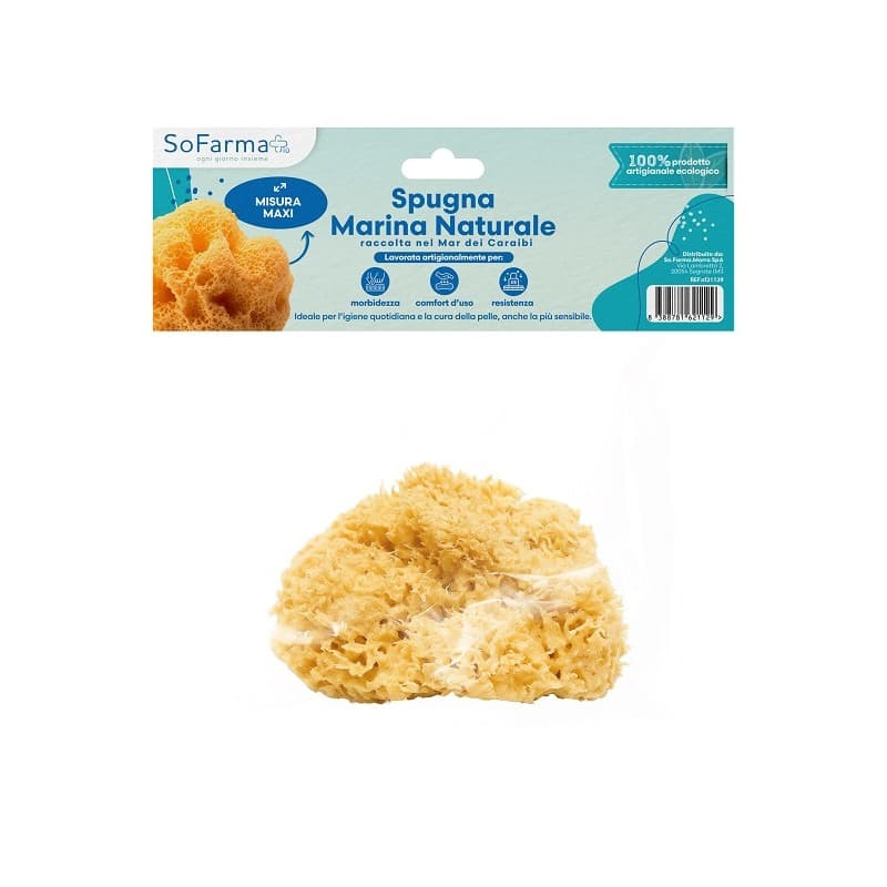 Naturschwamm Meerwasser Maxi – Spugna Naturale