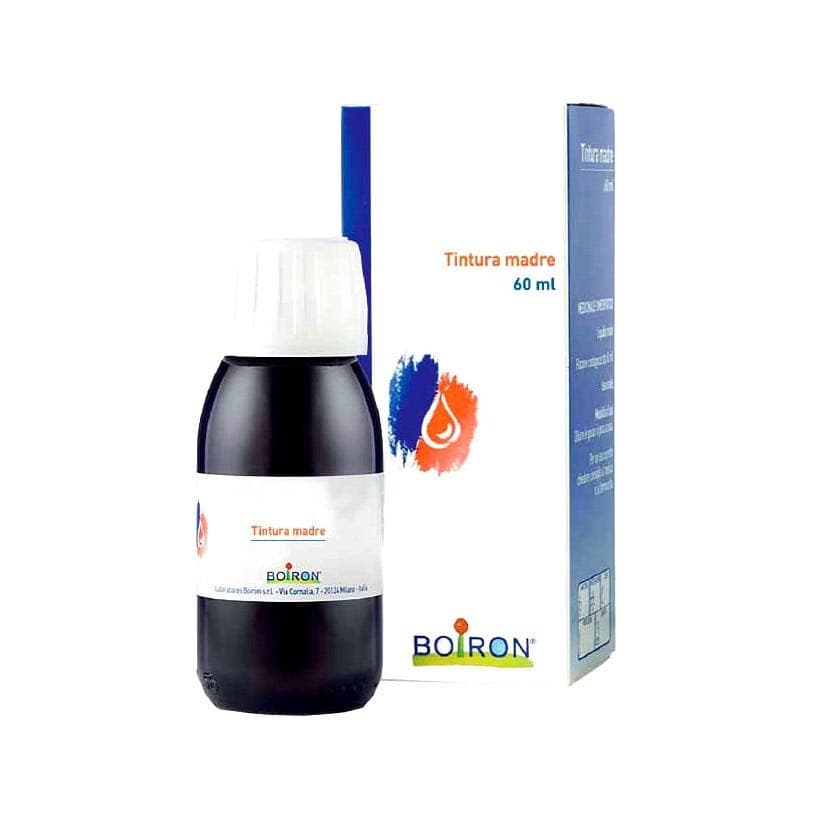 Taraxacum Urtinktur – 60 ml