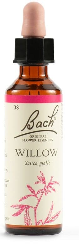 Willow Nr. 38 Fiori di Bach Originali – 20 ml Gocce