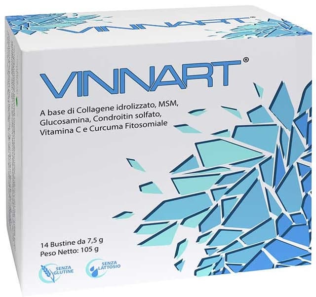 Vinnart Collagene + MSM – 14 bustine